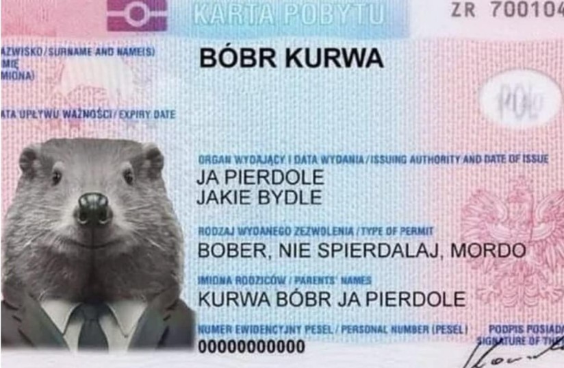 Що таке Бобр курва